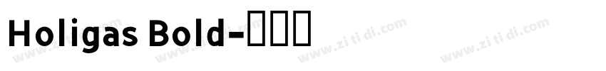 Holigas Bold字体转换
